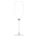 PLUMM Outdoors Sparkling